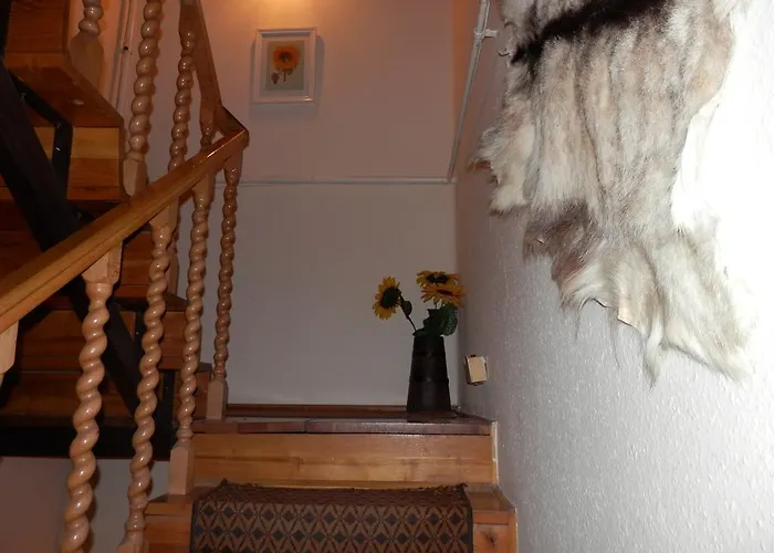 Apartman Napsugar Vendeghaz