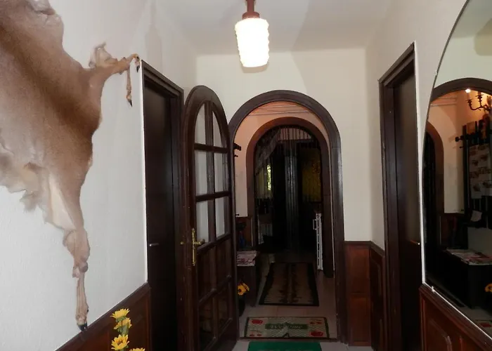 Apartman Napsugar Vendeghaz Gasthof *