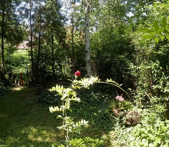 Apartman Napsugar Vendeghaz * Erlau